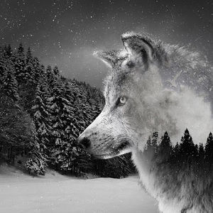 Meet your Posher, Barry